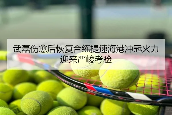 武磊伤愈后恢复合练提速海港冲冠火力迎来严峻考验
